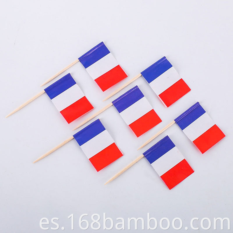 France toothpick flag